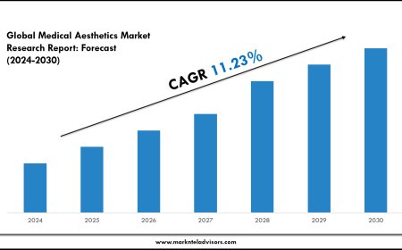 Medical Aesthetics Market Overview with Growth Insights
