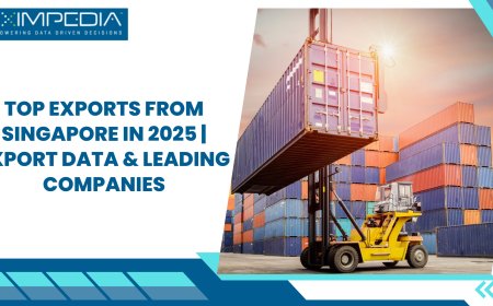 Top Exports from Singapore in 2025 | Export Data & Leading Companies