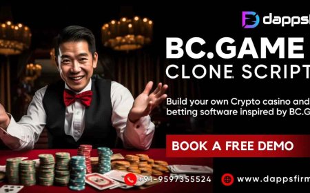 How Entrepreneurs are Monetizing the Crypto Casino Gaming Boom with BC.Game Clone Scripts?