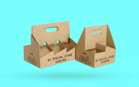2 Insert Carrier Boxes: A Functional Packaging Solution