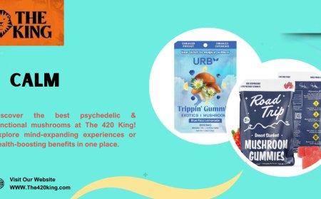 How Calm Mushrooms Are Changing Wellness in Florida