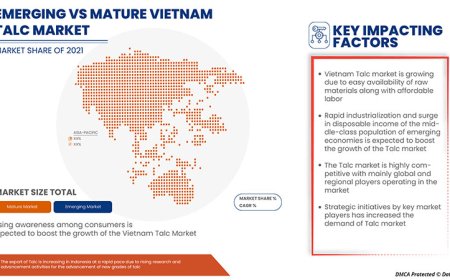 Vietnam Talc Market Size, Status and Industry Outlook During 2029