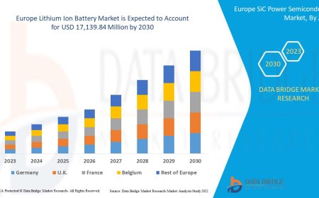 Europe Lithium Ion Battery Market Size, Status and Industry Outlook During 2030
