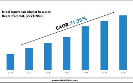 Israel Agrivoltaic Market Overview with Growth Insights