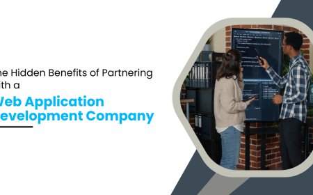 The Hidden Benefits of Partnering with a Web Application Development Company
