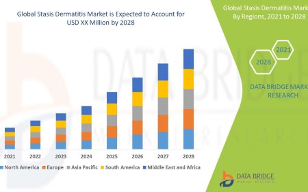 Stasis Dermatitis Market Size, Status and Industry Outlook During 2028