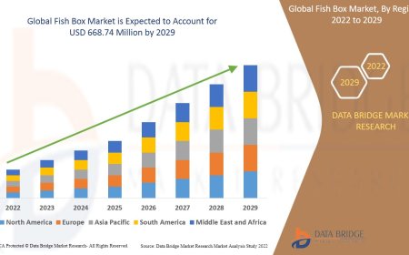 Growing Seafood Trade Enhances Global Fish Box Market Prospects