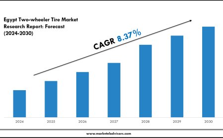 Egypt Two-wheeler Tire Market Overview with Growth Insights