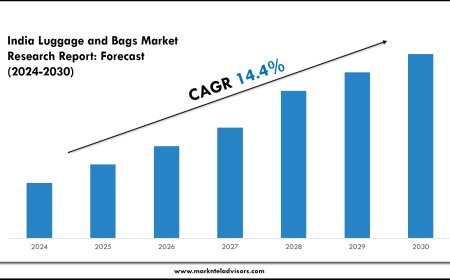 India Luggage and Bags Market Overview with Growth Insights