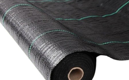 Weed Mat: Your Garden's Silent Protector