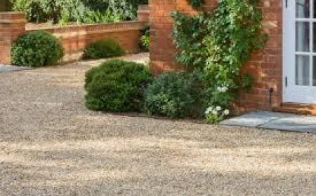 Driveways Basingstoke: Everything You Need to Know