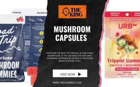 Everything You Need to Know About Mushroom Capsules: Natural Wellness on the Go