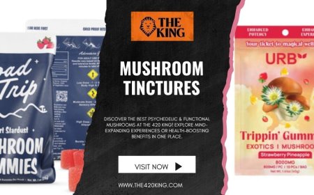 Mushroom Tinctures: A Natural Path to Wellness with The 420 King