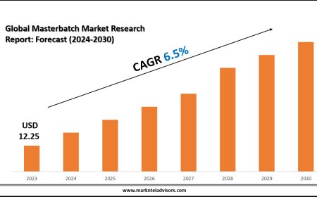 Masterbatch Market Companies, Share and Outlook Report 2030