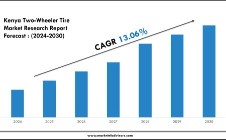 Kenya Two-Wheeler Tire Market Key Players, Trends and Forecast Report 2030