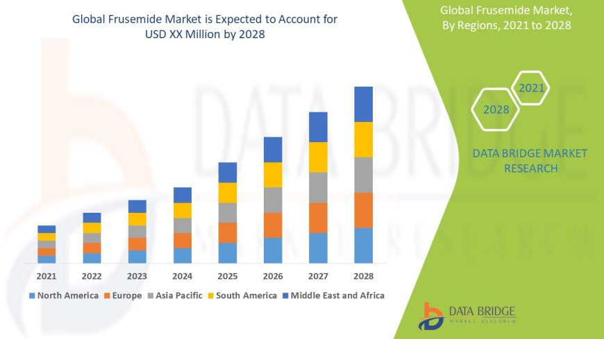 Frusemide Market : Key Drivers and Restraints 2025 –2032