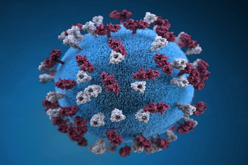 CD Bioglyco Unveils GlycoCLICK Solutions: A Powerful Platform for Streamlined Antibody Glycoengineering and Conjugation