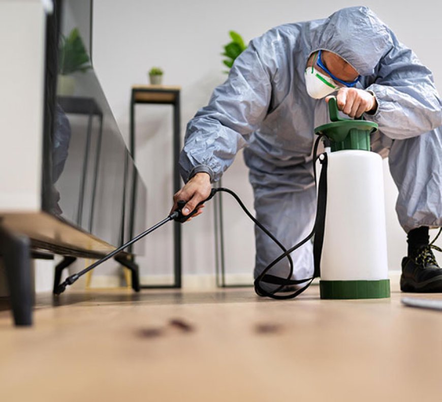 Expert Pest Control Services in Milngavie and Beith: Protecting Your Home and Business