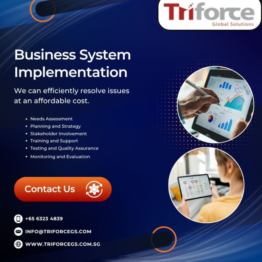 An ERP Accounting Software Implementation Guide for Your Business System