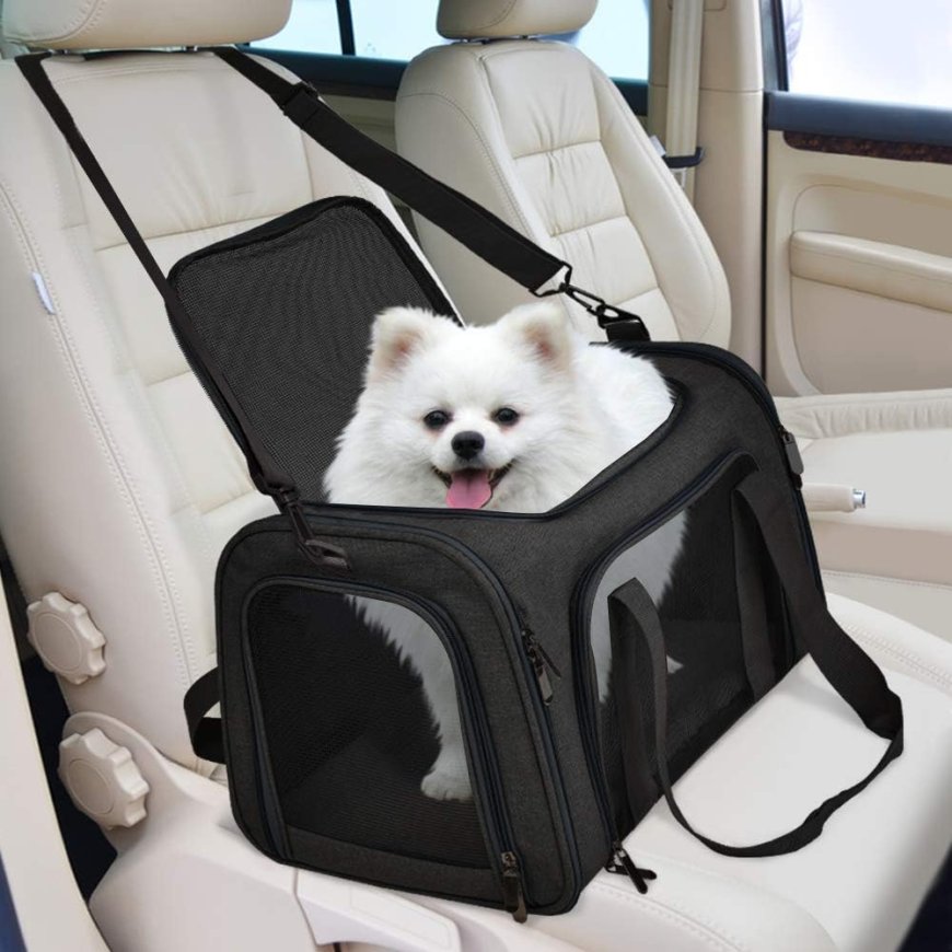 Choosing the Perfect Solution for Your Dog and Carrier Needs