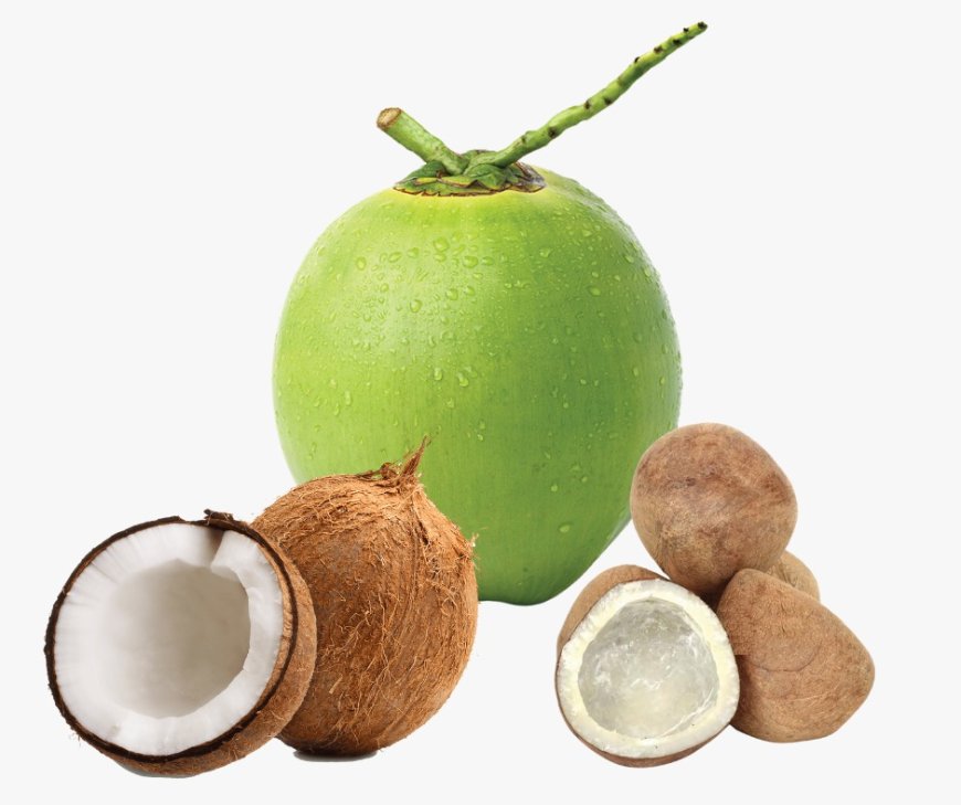 Is Coconut Water Good for Your Hair? A Complete Guide