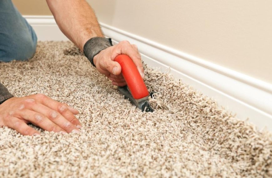 Carpet Repair vs. Replacement: Which One Saves You More Money?