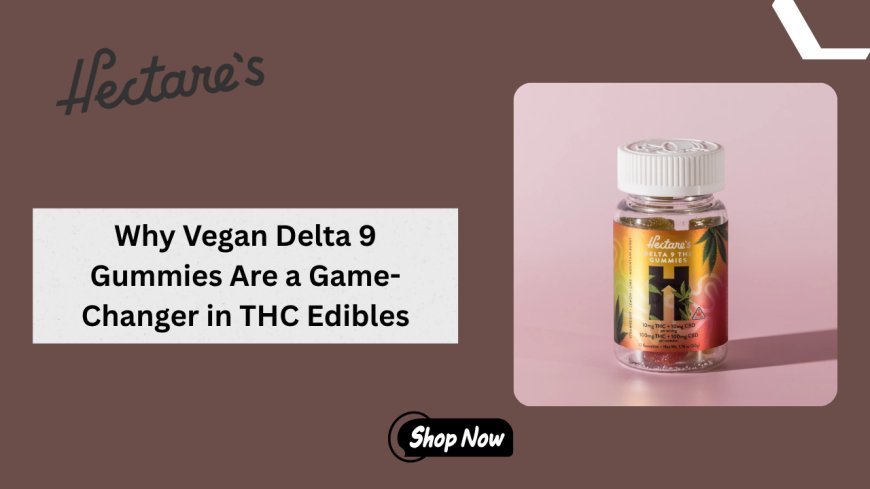 Why Vegan Delta 9 Gummies Are a Game-Changer in THC Edibles