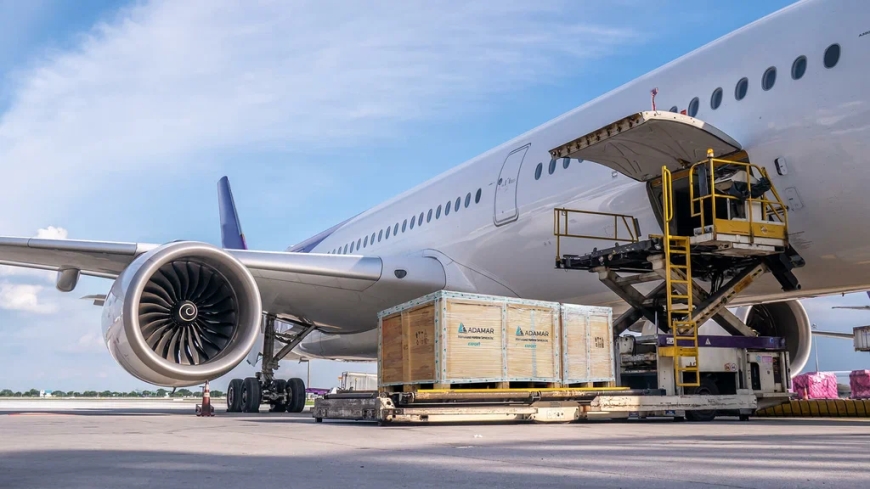 Soaring Success: Unlocking the Power of Air Cargo Freight in Today's Market