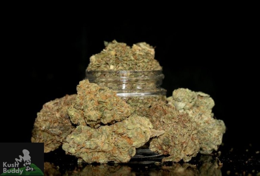 Bulkweed Canada: Quality Cannabis at Wholesale Prices
