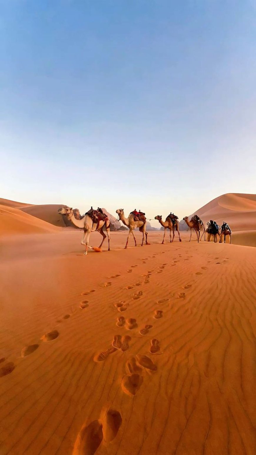 Dune Buggy Rental Dubai – The Ultimate Way to Explore the Desert with Enduro Bike Adventure