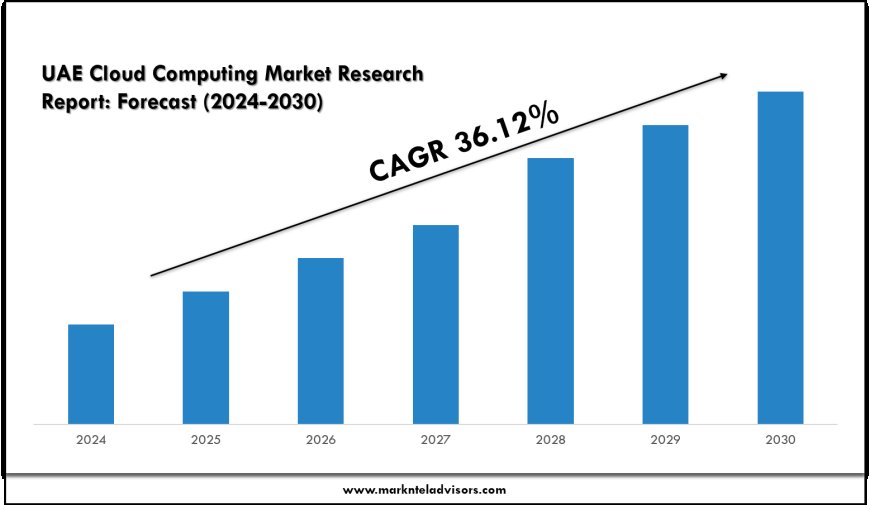 2025 Outlook: UAE Cloud Computing Market Growth and Future Trends