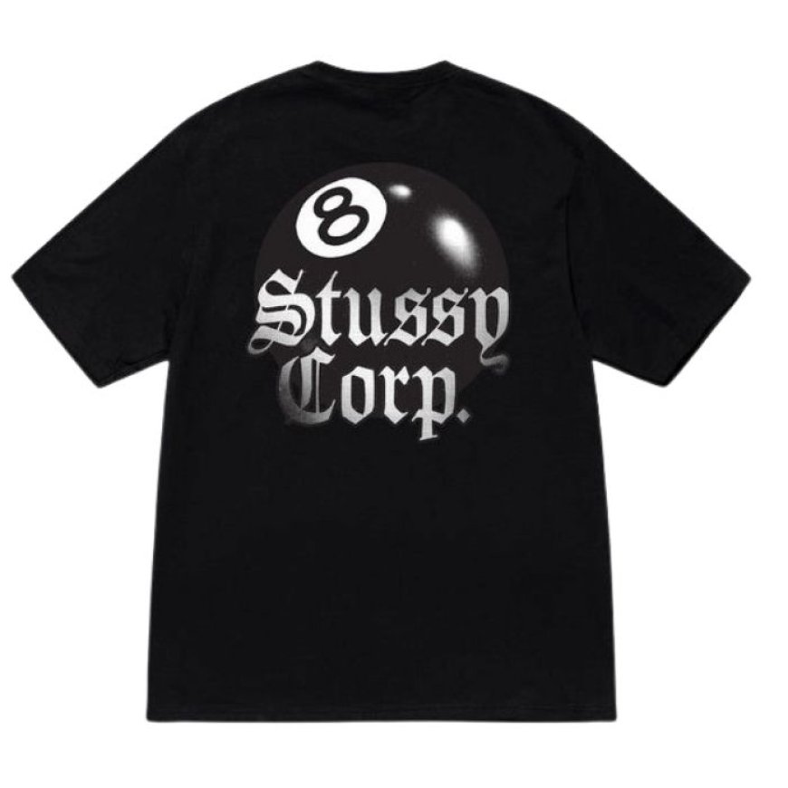 A Staple Piece the Stussy Hoodie