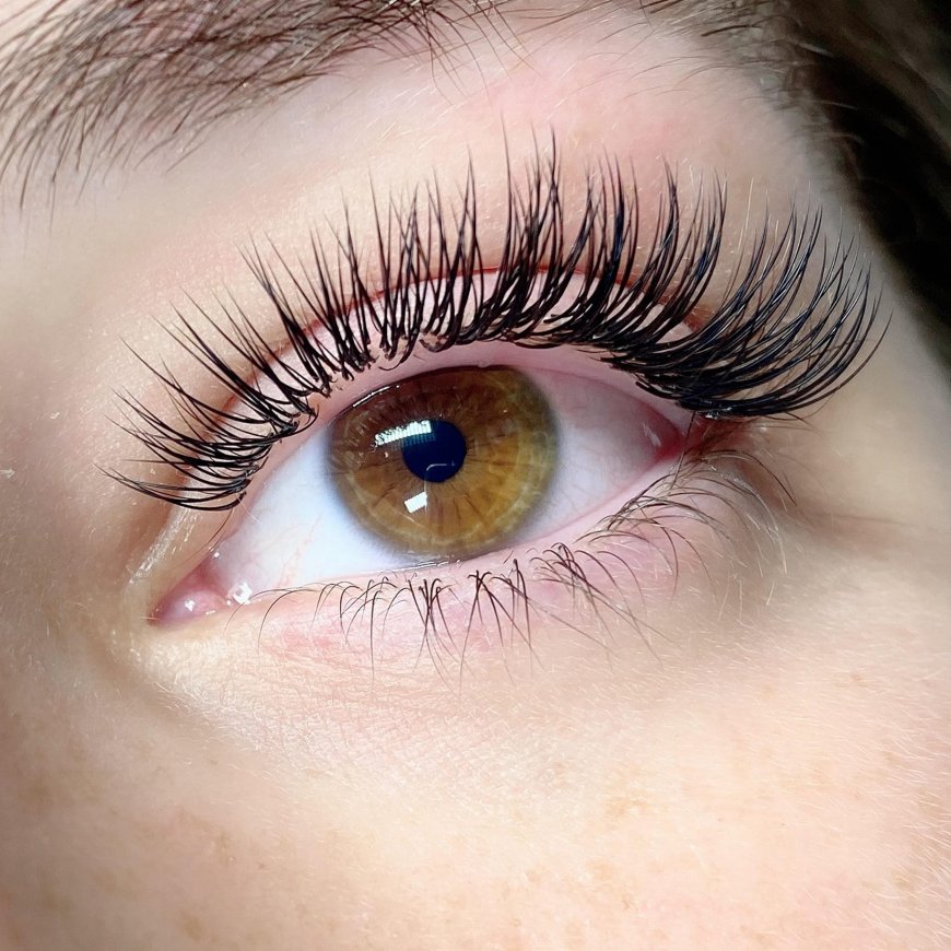 Why Professional Lash Extensions Are the New Beauty Essential