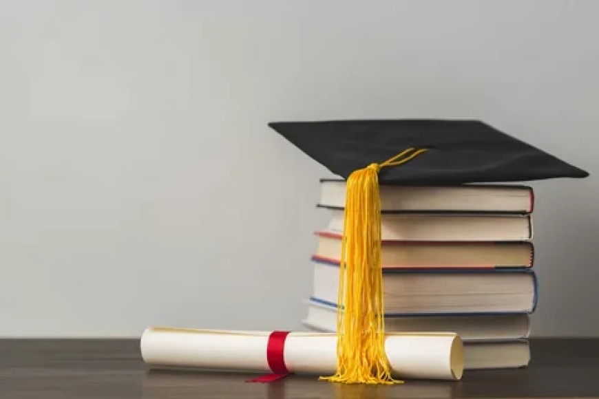 Ultimate Guide to Assignment Help: How Locus Assignments is Transforming Academic Support