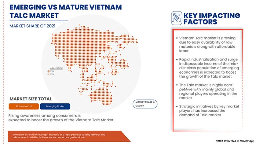 Vietnam Talc Market Size, Status and Industry Outlook During 2029