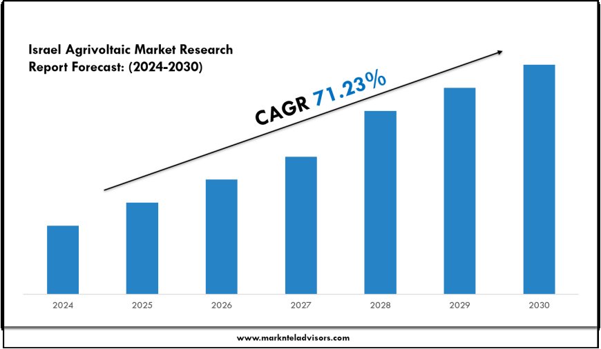 Israel Agrivoltaic Market Overview with Growth Insights