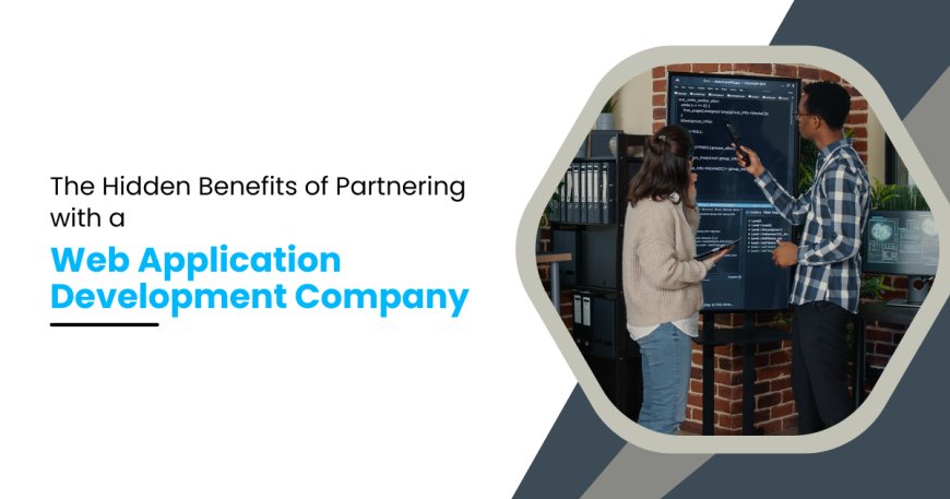The Hidden Benefits of Partnering with a Web Application Development Company