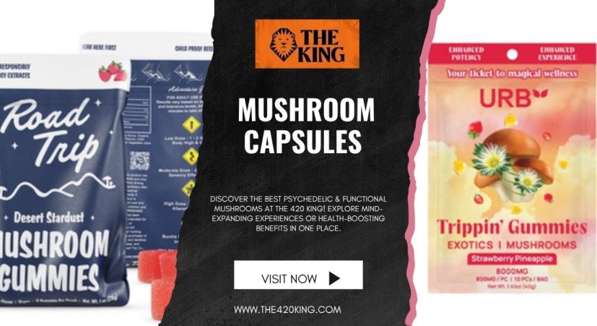 Everything You Need to Know About Mushroom Capsules: Natural Wellness on the Go