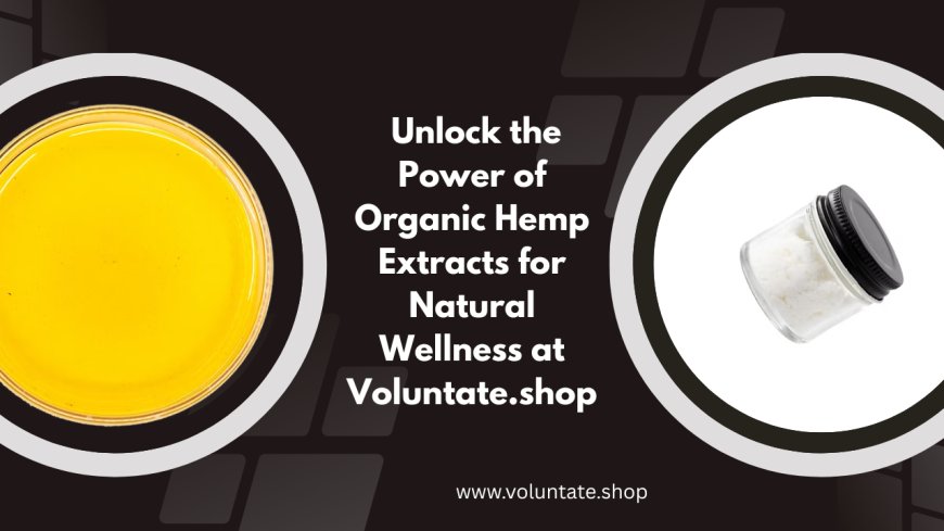 Discover Delicious and Effective CBD Gummies for Sale at Voluntate.shop
