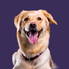 ruffynl
