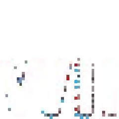 11xwinner